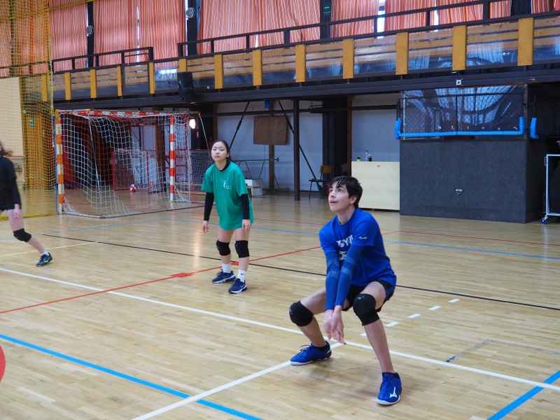 Volejbalový den Nový Bor